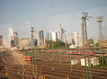 IMGP1577.jpg