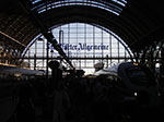 IMGP1590.jpg