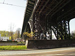 IMGP1674.jpg