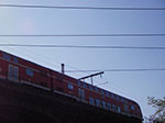 IMGP1679.jpg