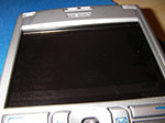 IMGP1831.jpg
