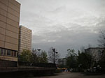 IMGP1890.jpg