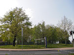 IMGP1900.jpg
