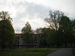 IMGP1905.jpg