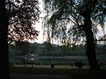 IMGP1911.jpg
