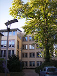 IMGP2010.jpg