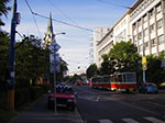 IMGP2039.jpg