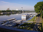 IMGP2054.jpg