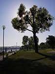 IMGP2077.jpg