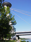 IMGP2085.jpg
