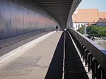 IMGP2091.jpg