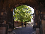 IMGP2110.jpg