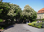 IMGP2127.jpg
