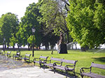IMGP2164.jpg