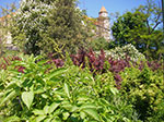 IMGP2179.jpg