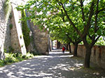 IMGP2181.jpg