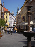 IMGP2187.jpg