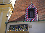 IMGP2204.jpg