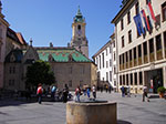 IMGP2212.jpg