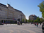 IMGP2220.jpg