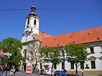 IMGP2223.jpg