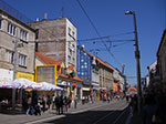 IMGP2227.jpg