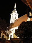 IMGP2237.jpg
