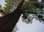IMGP2311.jpg