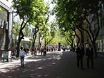 IMGP2321.jpg