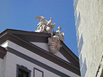 IMGP2335.jpg
