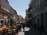 IMGP2339.jpg