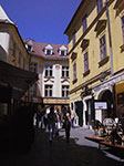 IMGP2343.jpg