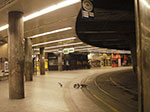 IMGP2375.jpg
