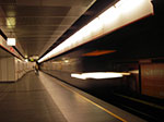 IMGP2387.jpg