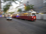 IMGP2392.jpg