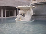 IMGP2407.jpg