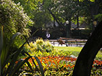 IMGP2412.jpg
