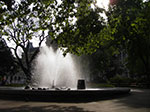 IMGP2426.jpg