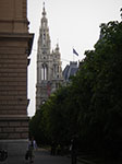 IMGP2433.jpg