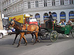 IMGP2441.jpg