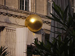 IMGP2450.jpg