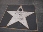 IMGP2484.jpg