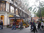 IMGP2486.jpg