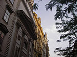 IMGP2488.jpg