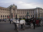 IMGP2512.jpg