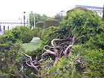IMGP2525.jpg