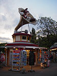 IMGP2532.jpg
