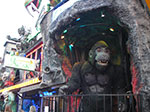 IMGP2541.jpg