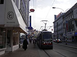 IMGP2603.jpg