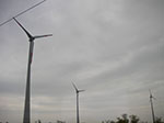 IMGP2607.jpg